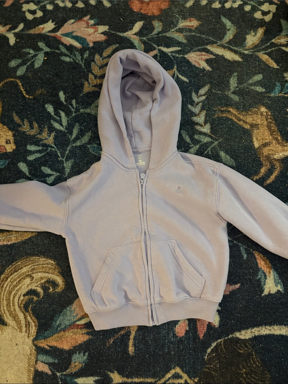 GAP Kids Lavender Zip Hoodie